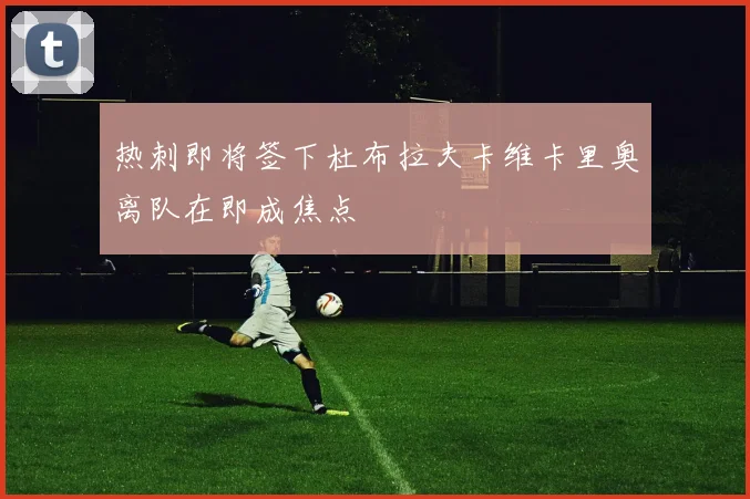 热刺即将签下杜布拉夫卡维卡里奥离队在即成焦点