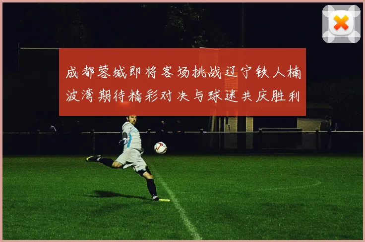 成都蓉城即将客场挑战辽宁铁人楠波湾期待精彩对决与球迷共庆胜利